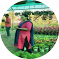 farmer