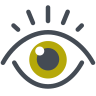 vision